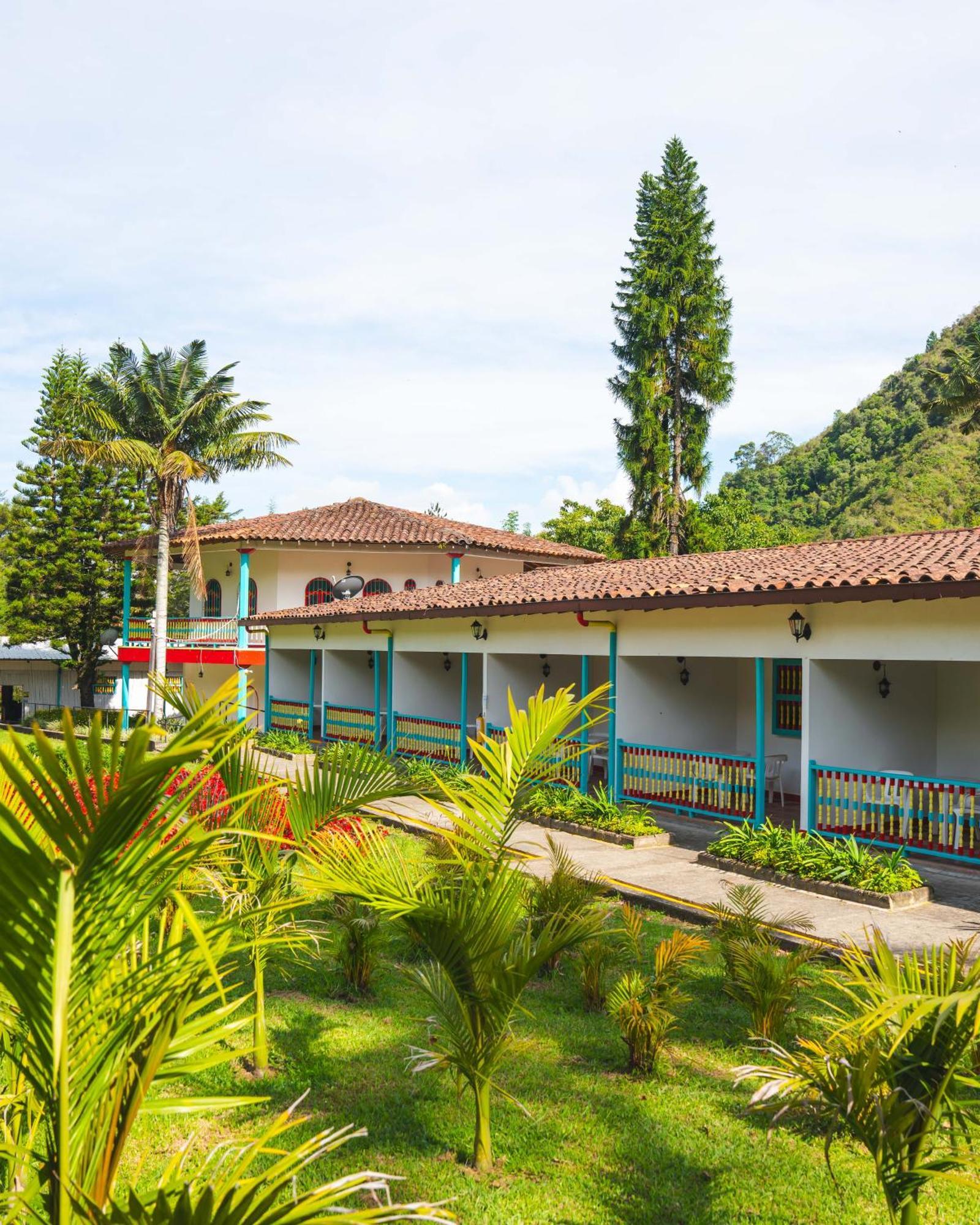 Dreamer Cocora Salento Extérieur photo